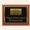 single-div-css-plaque-plaque