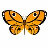 css-butterfly