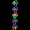 css-only-dna