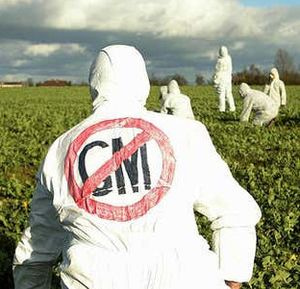 anti-GMO activism